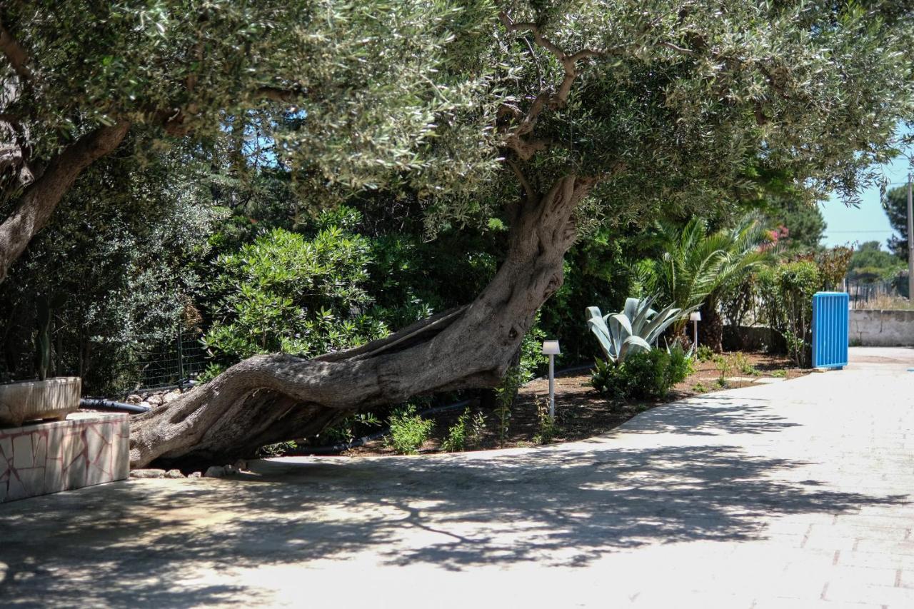 Pugliamandia Villa Monopoli Exterior foto
